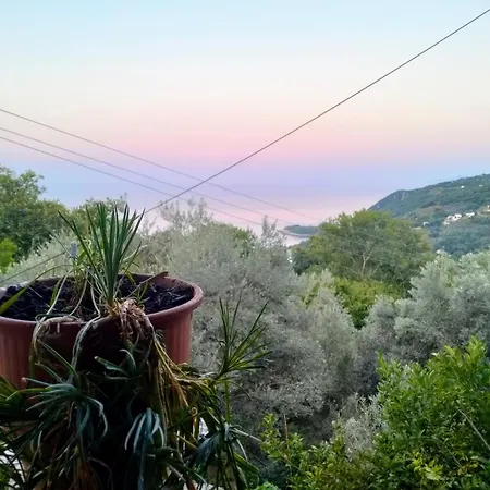 Apartamento μούσες