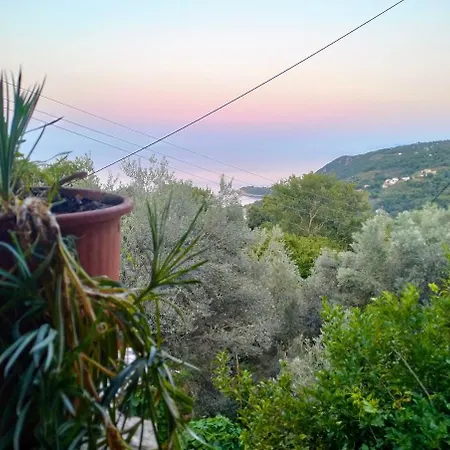 Apartamento μούσες